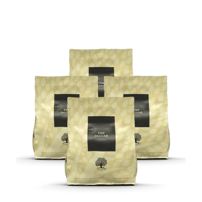 LOT DE 5 THE JAGUAR 3 Kg